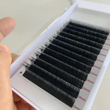 20251031101701 20251031101701